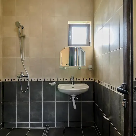 Alex Village Pensionat Shkorpilovtsi