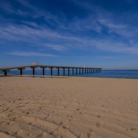 Alex Village Pensionat Shkorpilovtsi