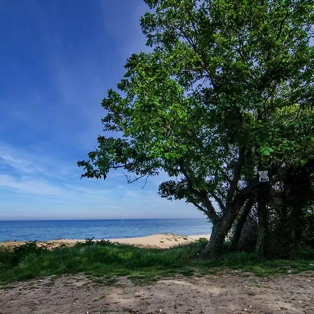 Alex Village Pensionat 4*